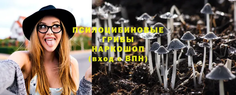 закладки  Родники  Псилоцибиновые грибы MAGIC MUSHROOMS 